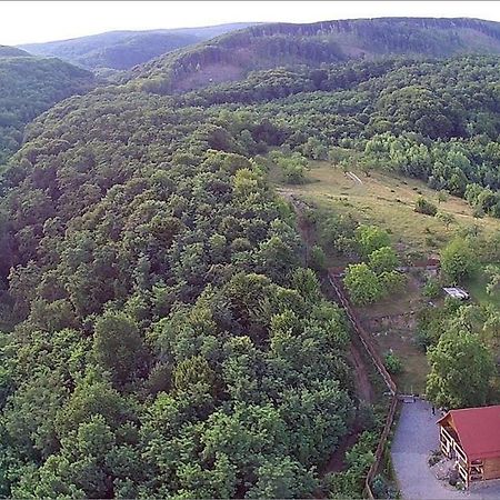 Творча Садиба スバリャバ エクステリア 写真